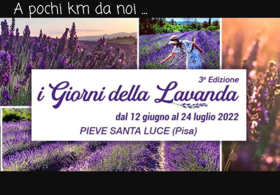 Appartamento Bellavista Castellina Marittima Luaran gambar